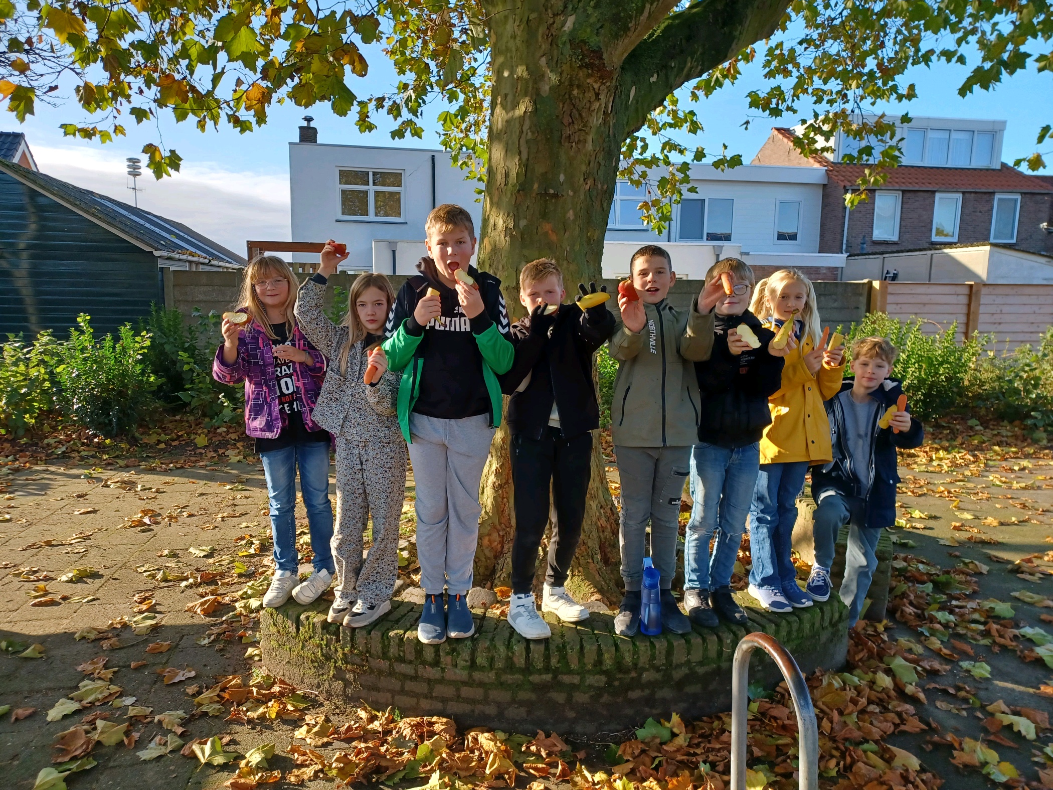 fruitdag in pauze bb
