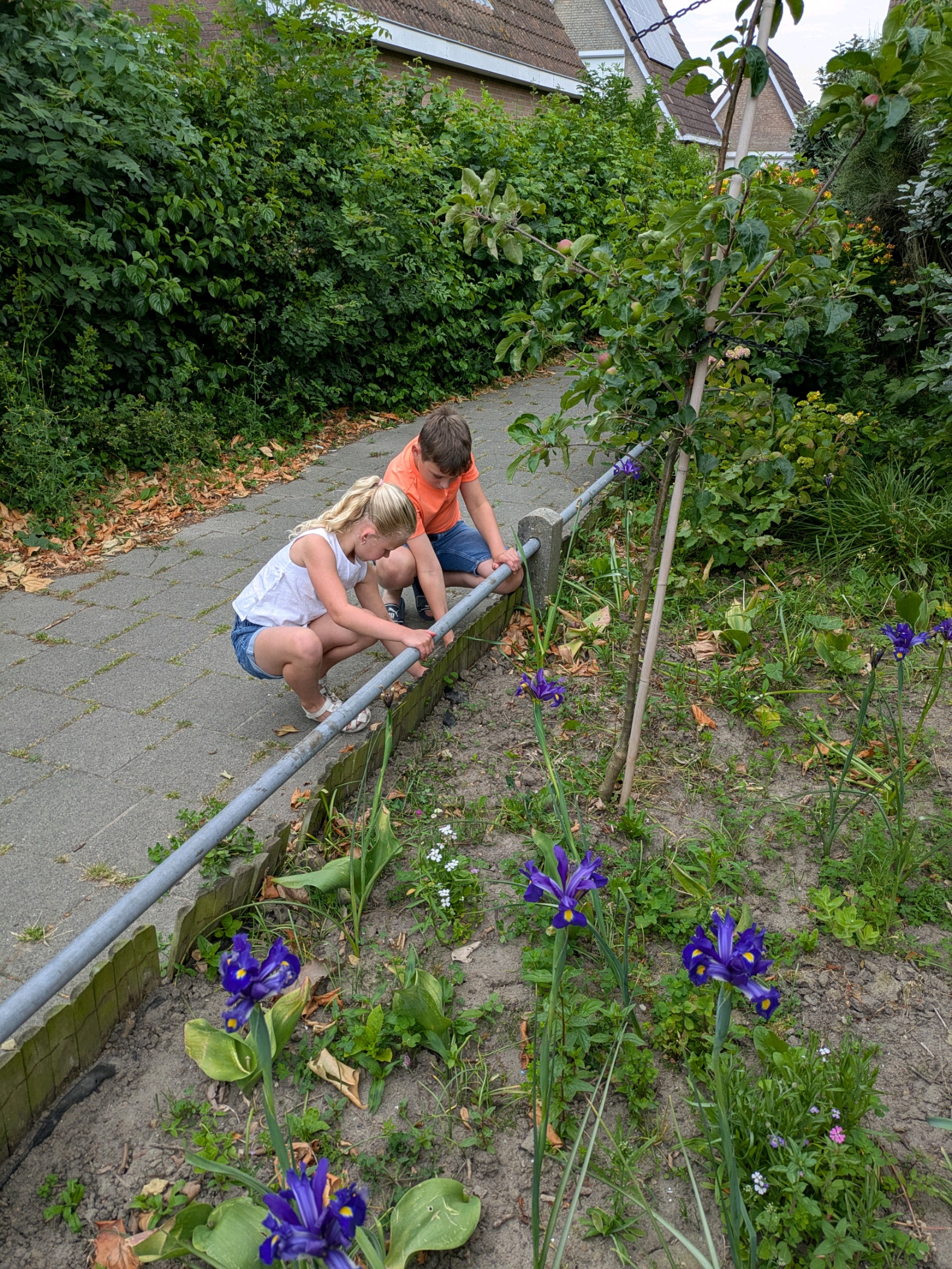 mb tuintje